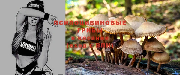 кокаин премиум Алексеевка