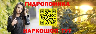 гашиш Аша