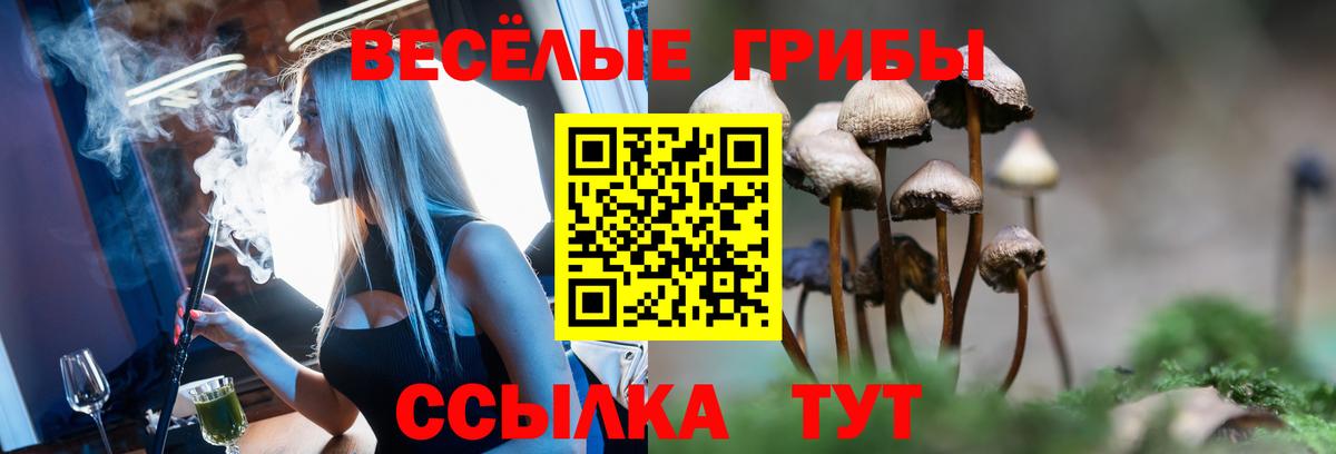 Асбест  даркнет сайт  Вход с VPN  Галлюциногенные грибы GOLDEN TEACHER 